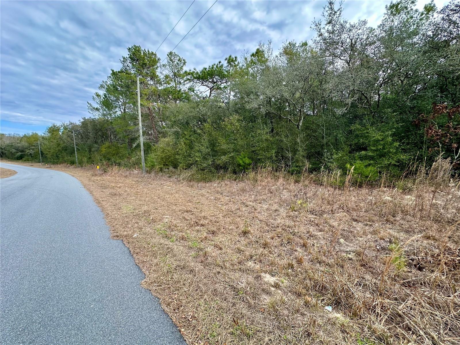 Listing photo id 5 for 7891 Darby Drive