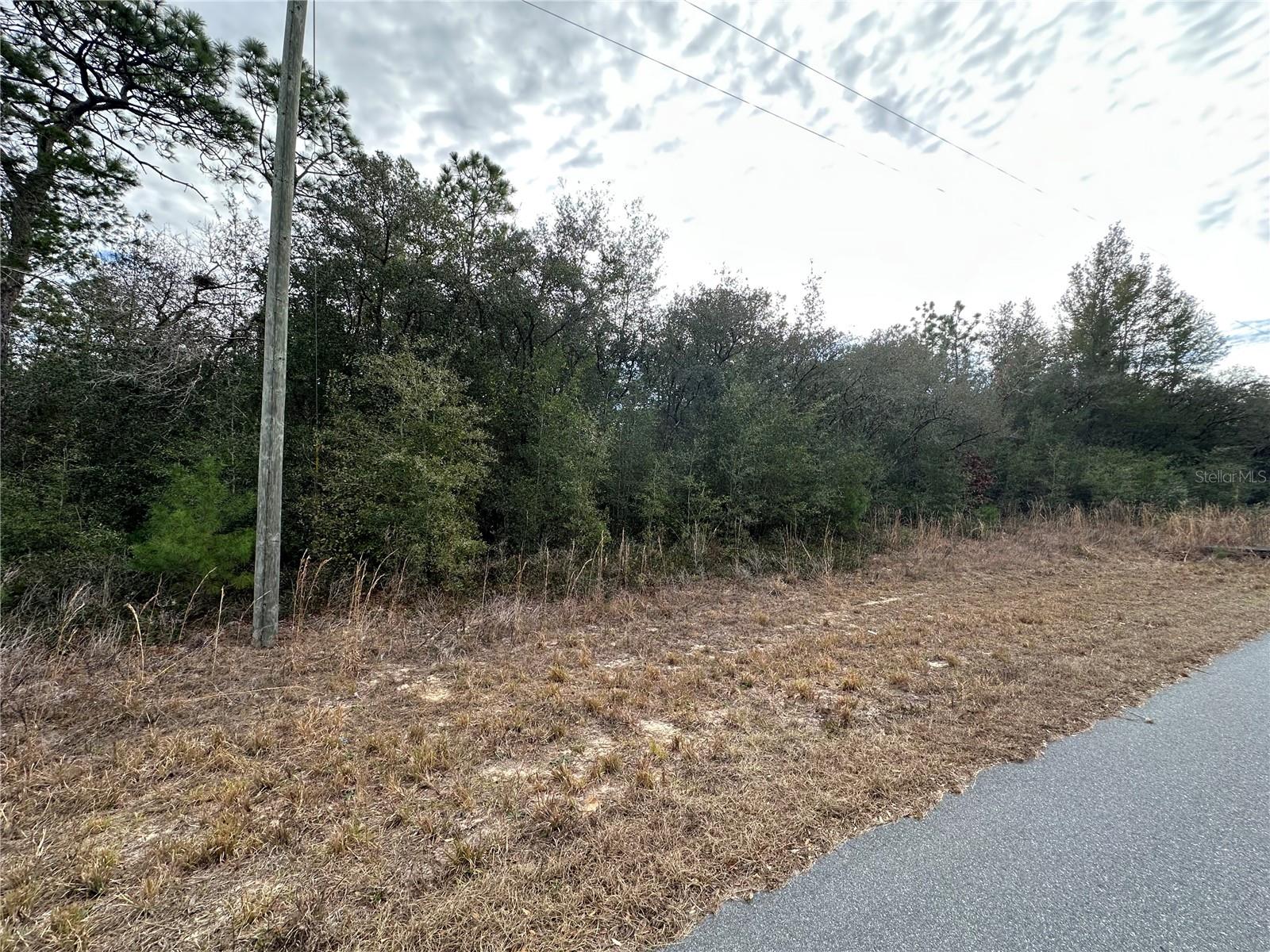 Listing photo id 6 for 7891 Darby Drive