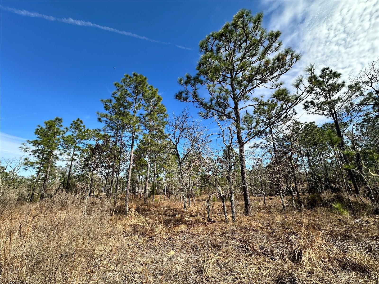 Image 3 of 5 For Tbd 150th Court