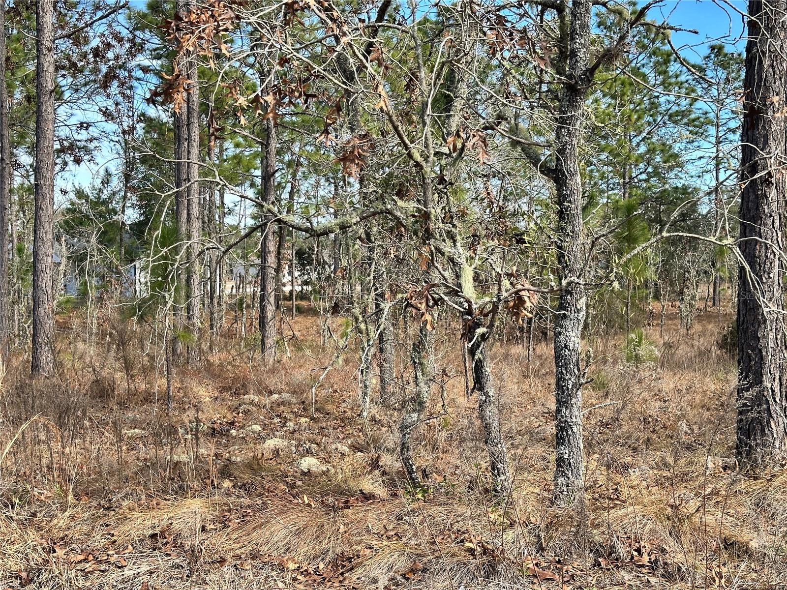 Image 5 of 5 For Tbd 150th Court