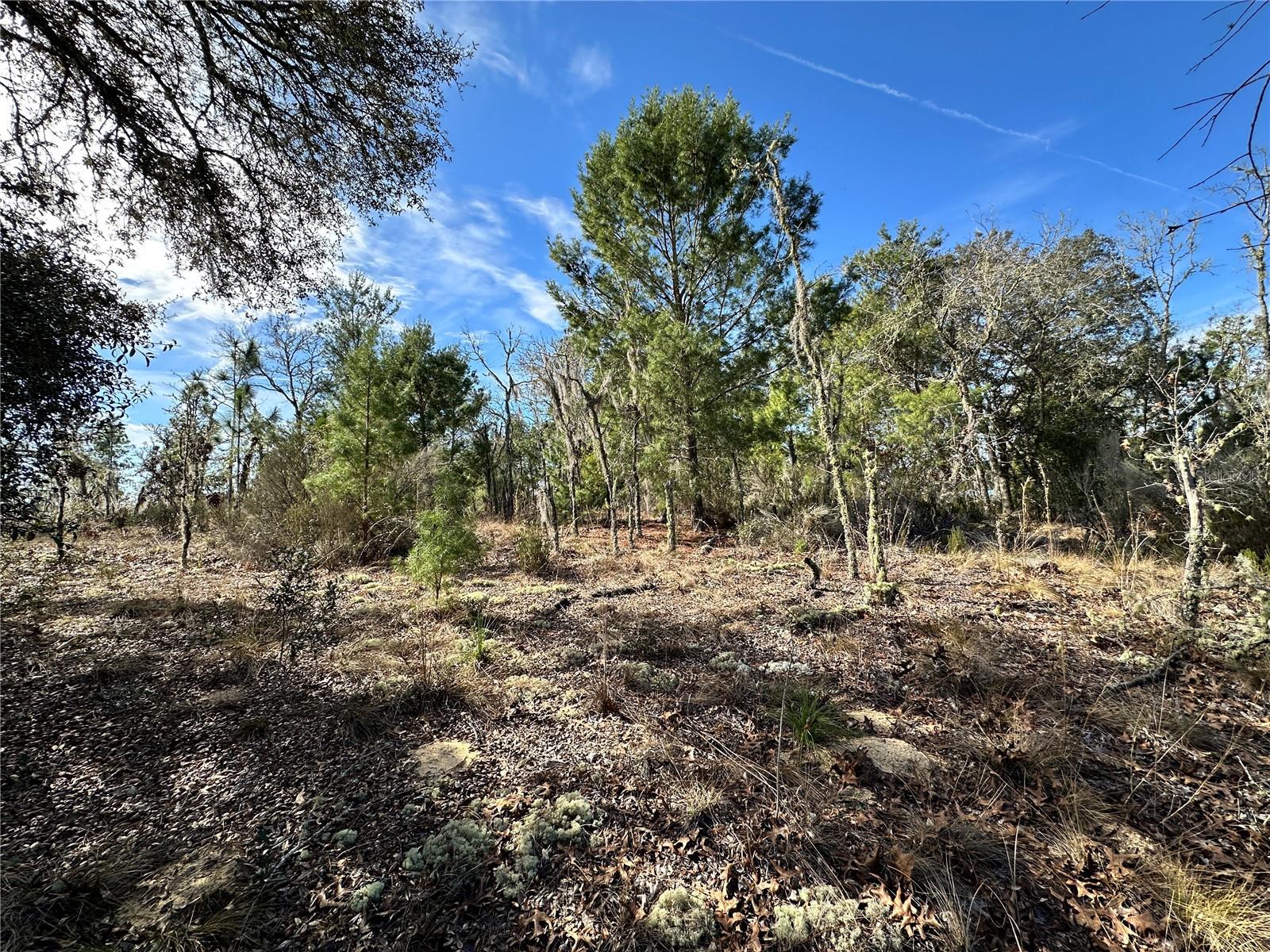 Image 2 of 6 For Tbd 16th Lane