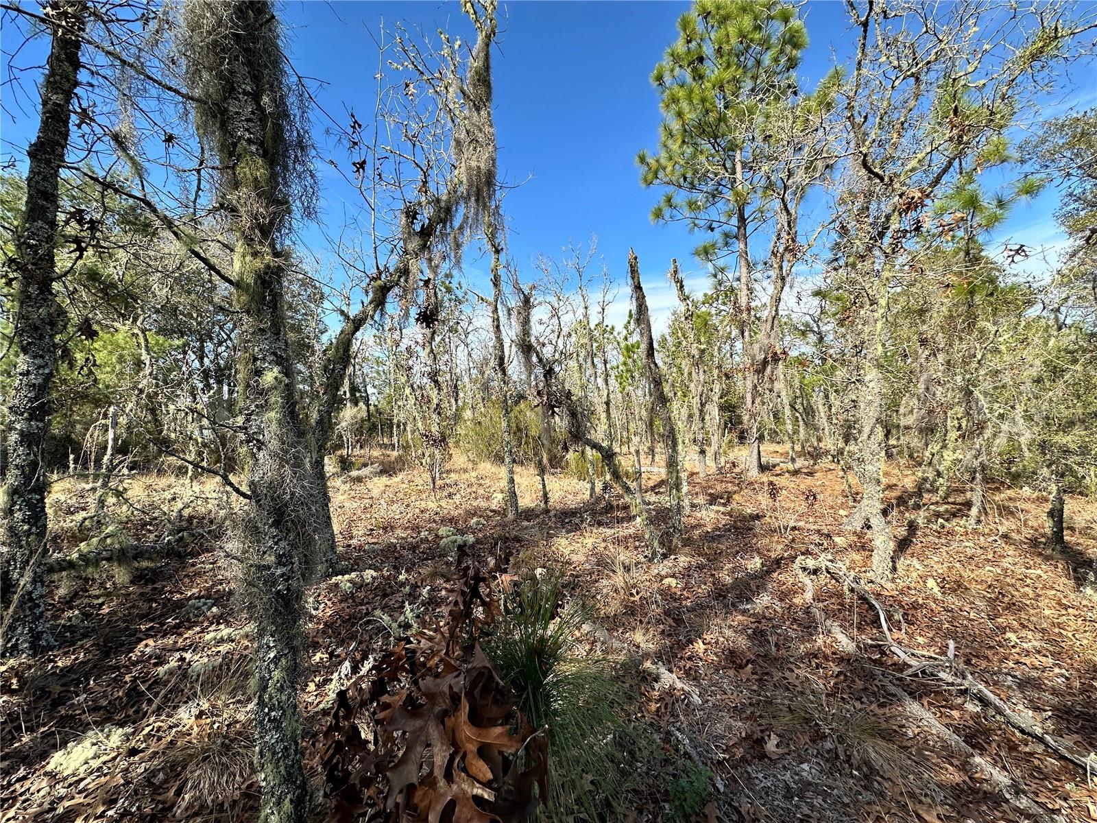 Image 3 of 6 For Tbd 16th Lane