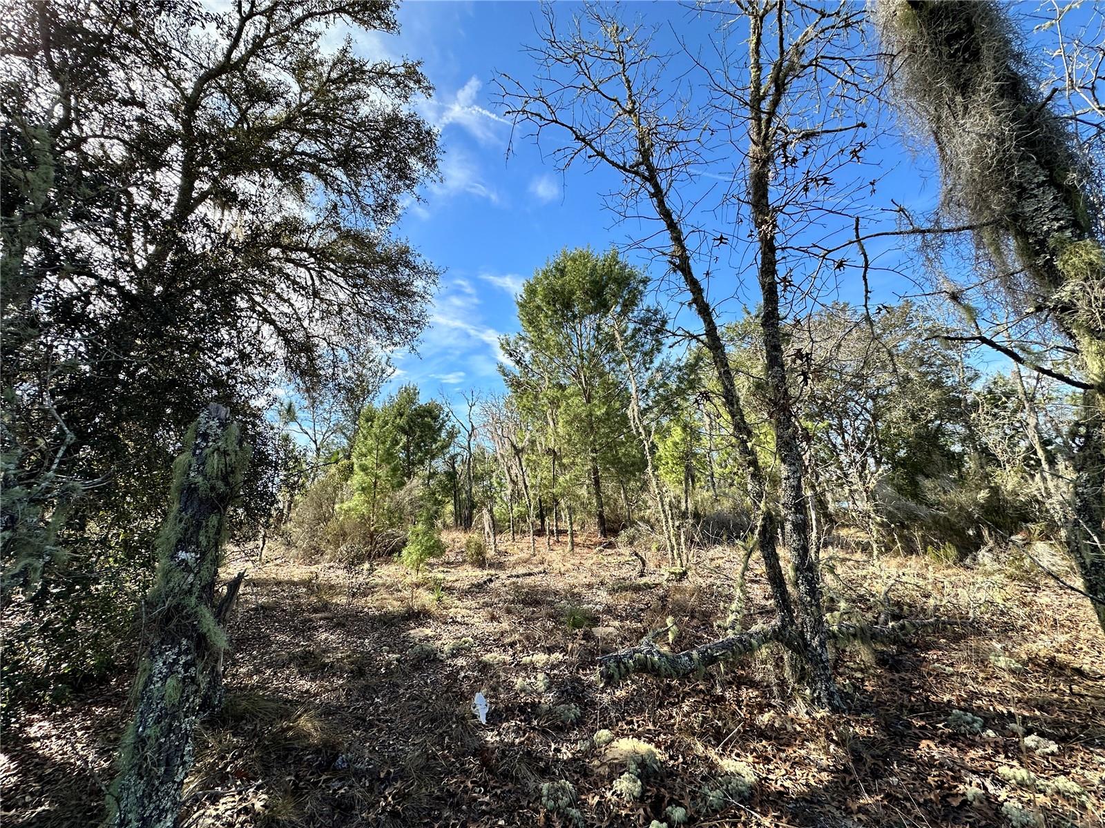 Image 4 of 6 For Tbd 16th Lane