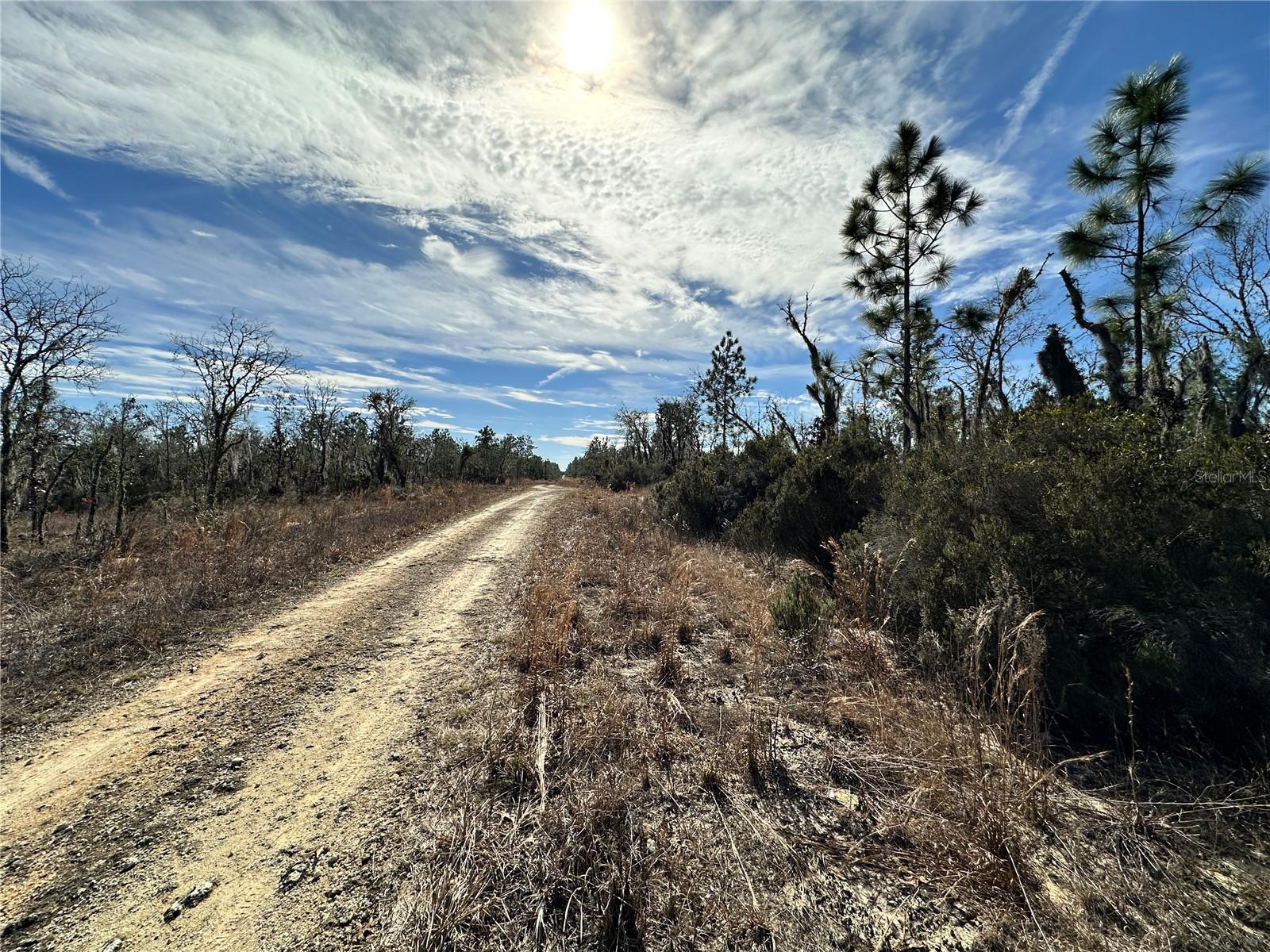 Image 5 of 6 For Tbd 16th Lane