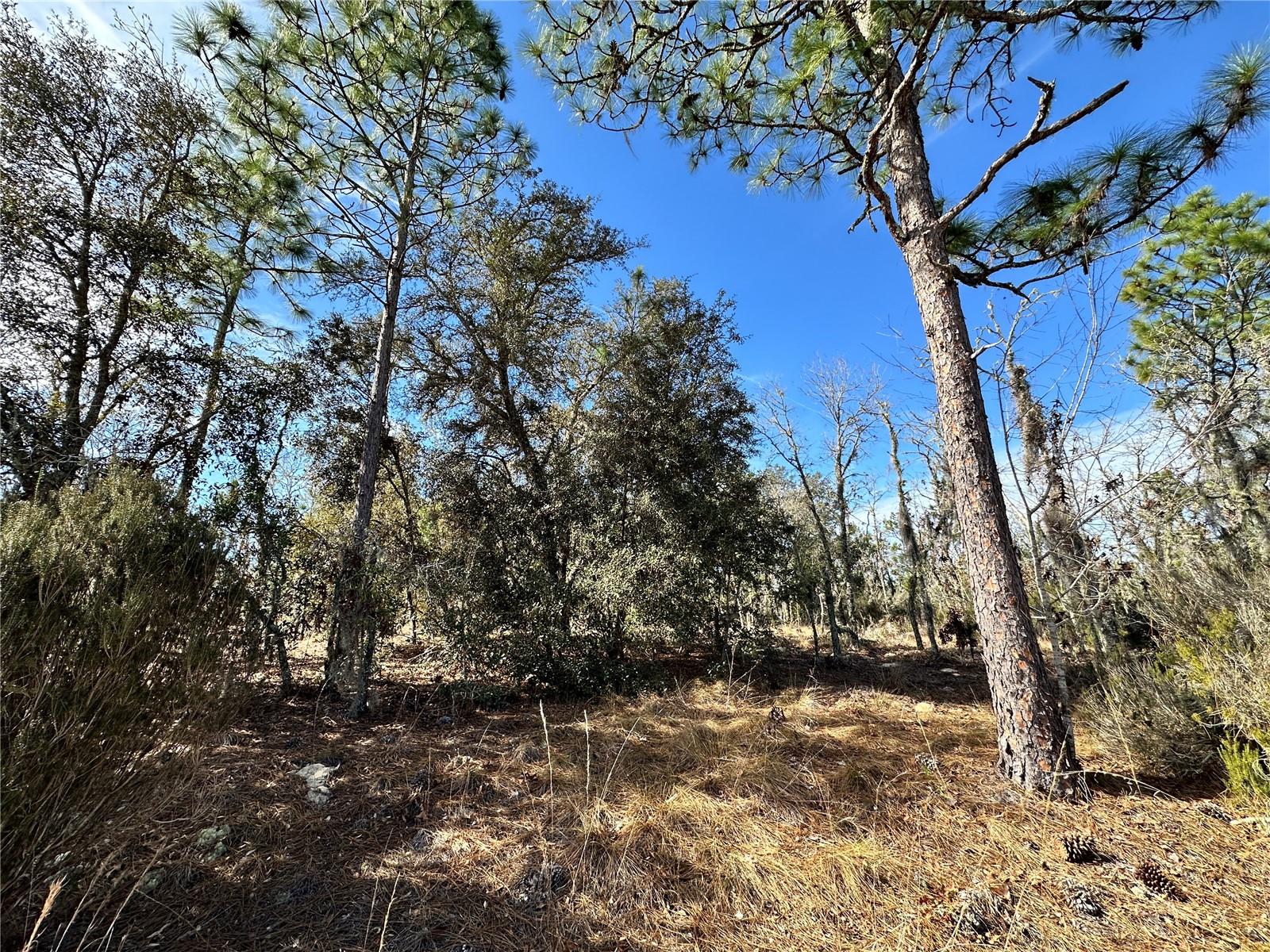 Image 6 of 6 For Tbd 16th Lane