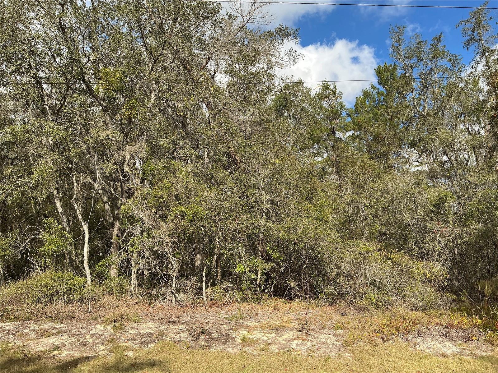 Details for Lot 8 Fisher Trace, OCKLAWAHA, FL 32179