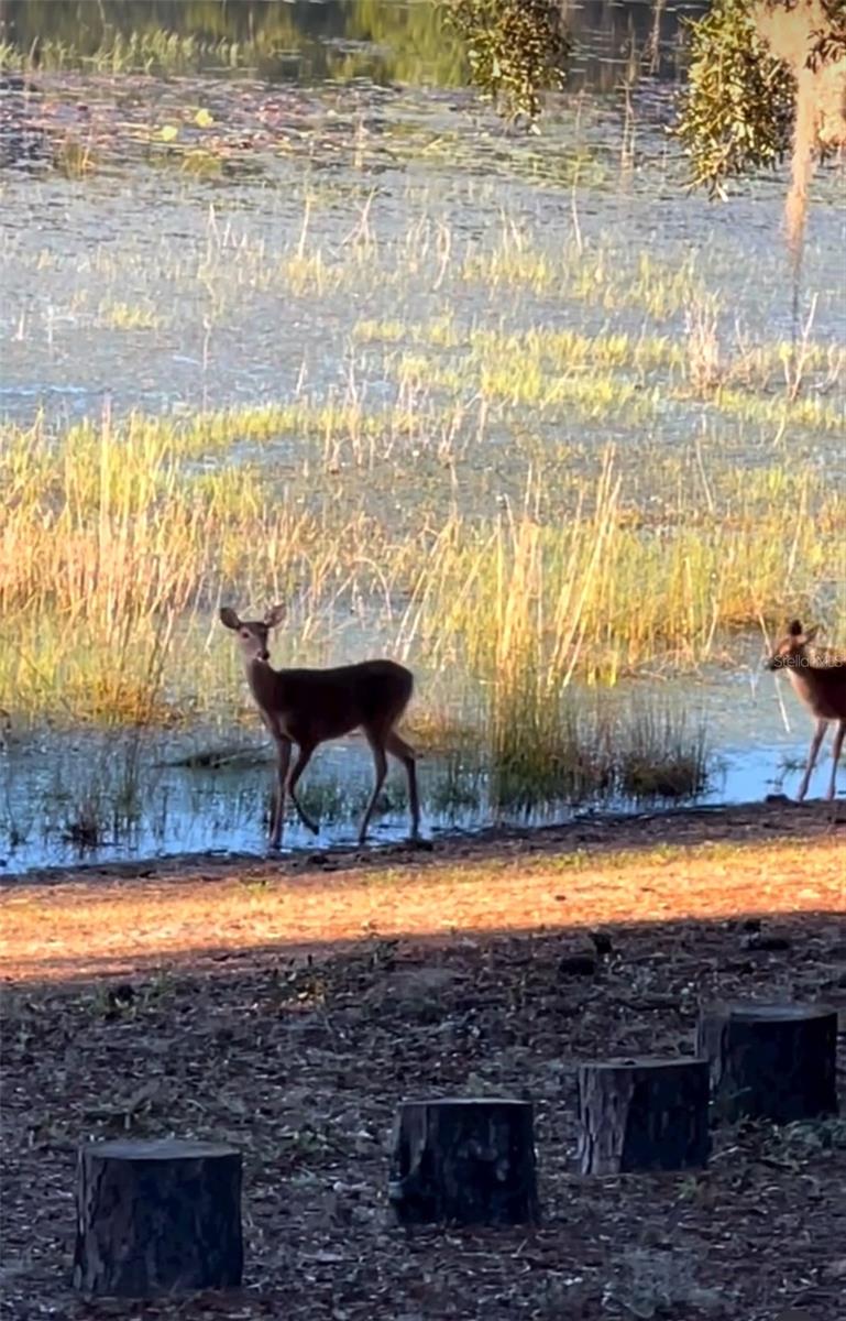 Image 86 of 91 For 14730 61st Street Road