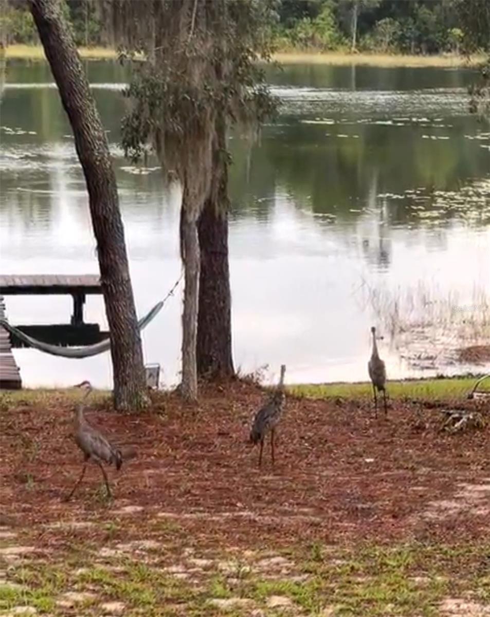 Image 88 of 91 For 14730 61st Street Road