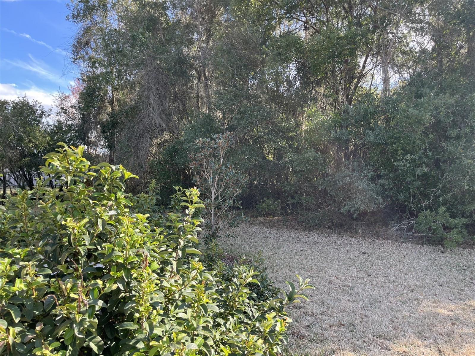 Image 31 of 70 For 19735 77th Loop