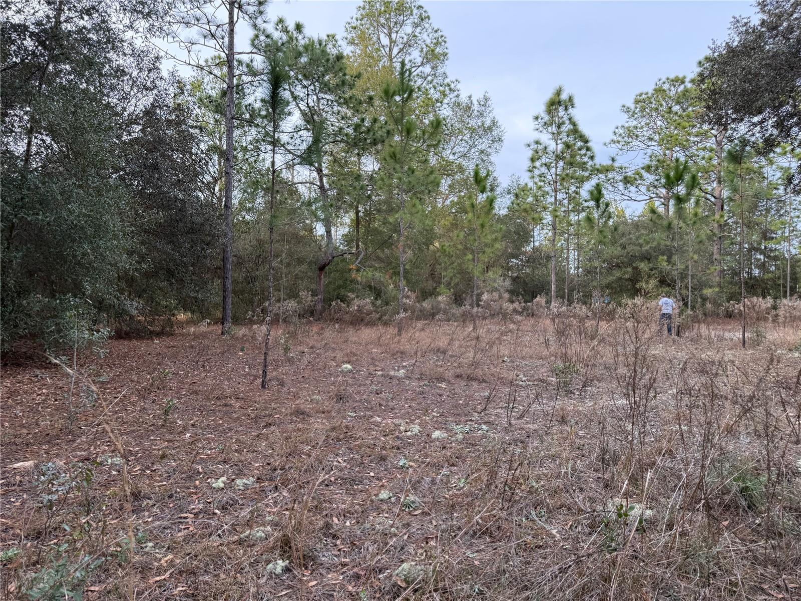 Details for Tbd Audubon Avenue, DUNNELLON, FL 34431