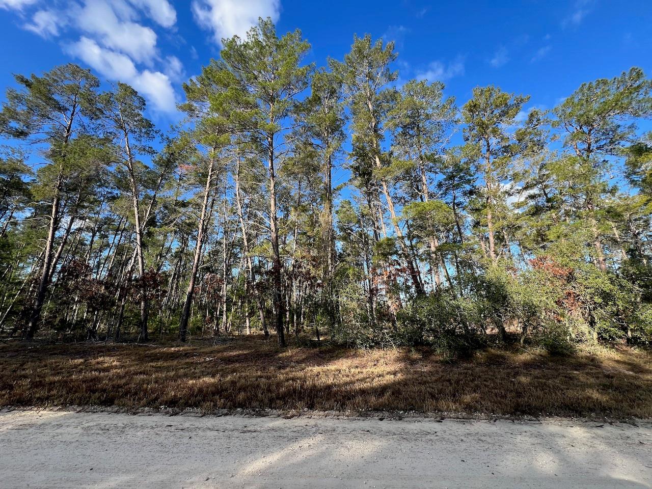 Image 12 of 17 For  126 Avenue 