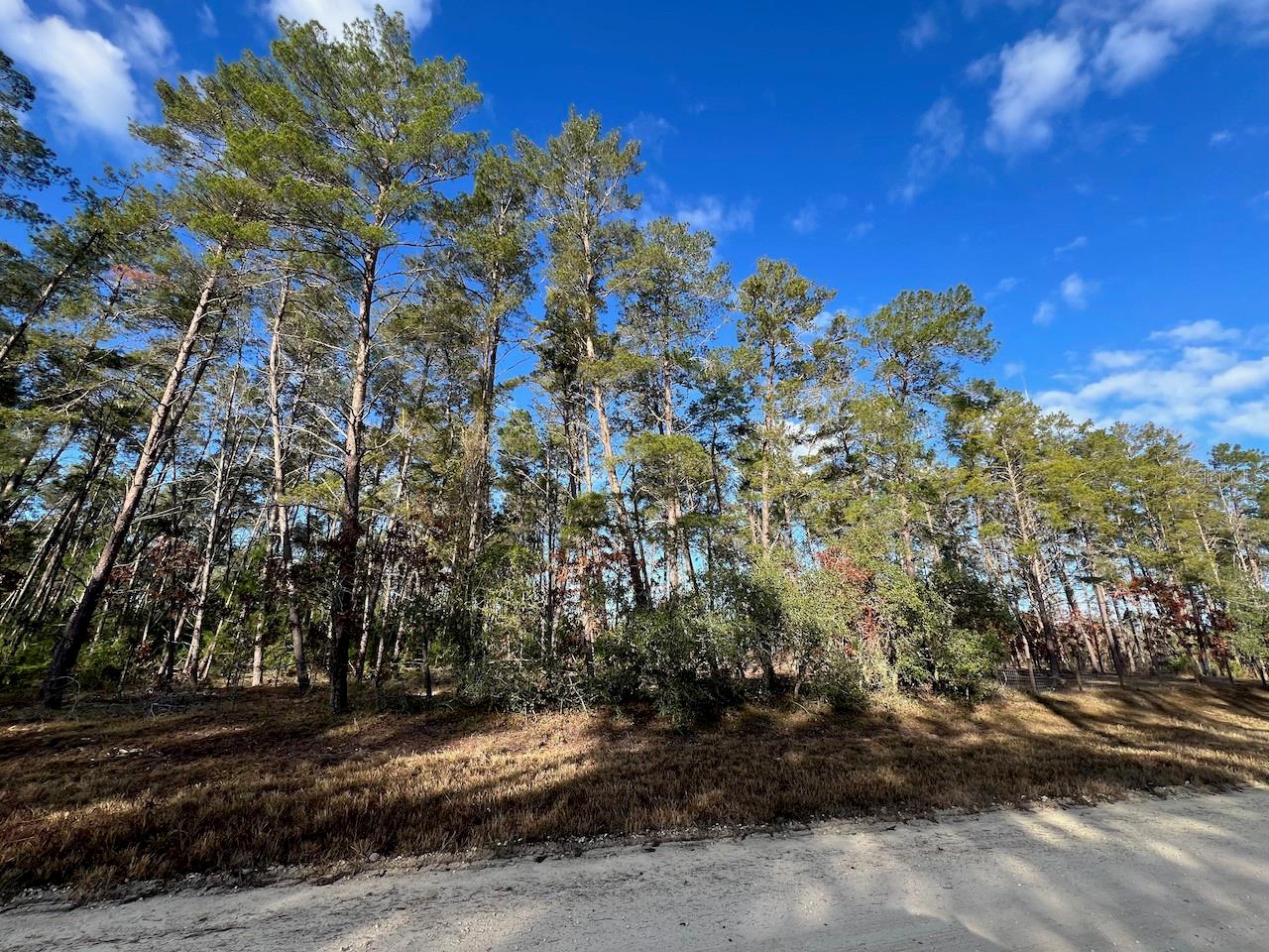 Image 13 of 17 For  126 Avenue 