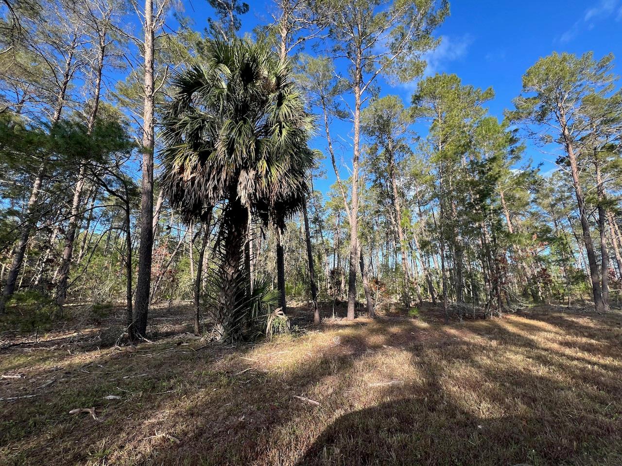 Image 16 of 17 For  126 Avenue 