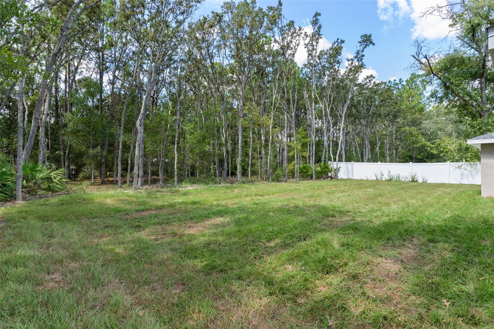 Image 42 of 44 For 3155 Randolph Lane