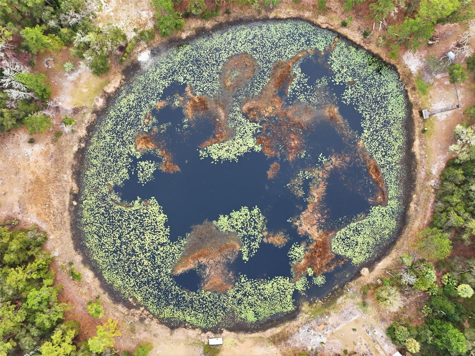 Image 44 of 47 For 16450 57th Place