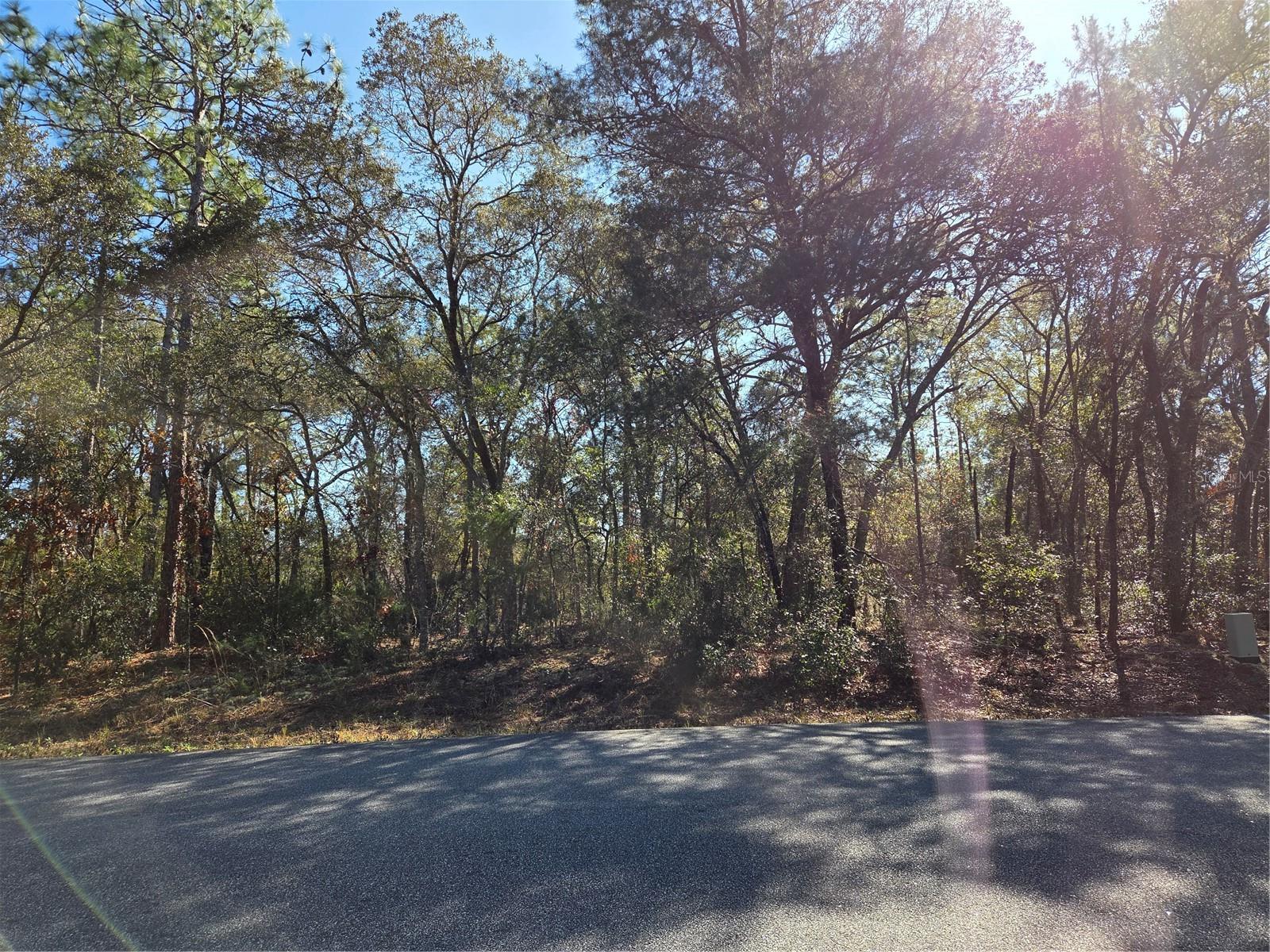 Image 4 of 9 For 3686 Parkview Drive