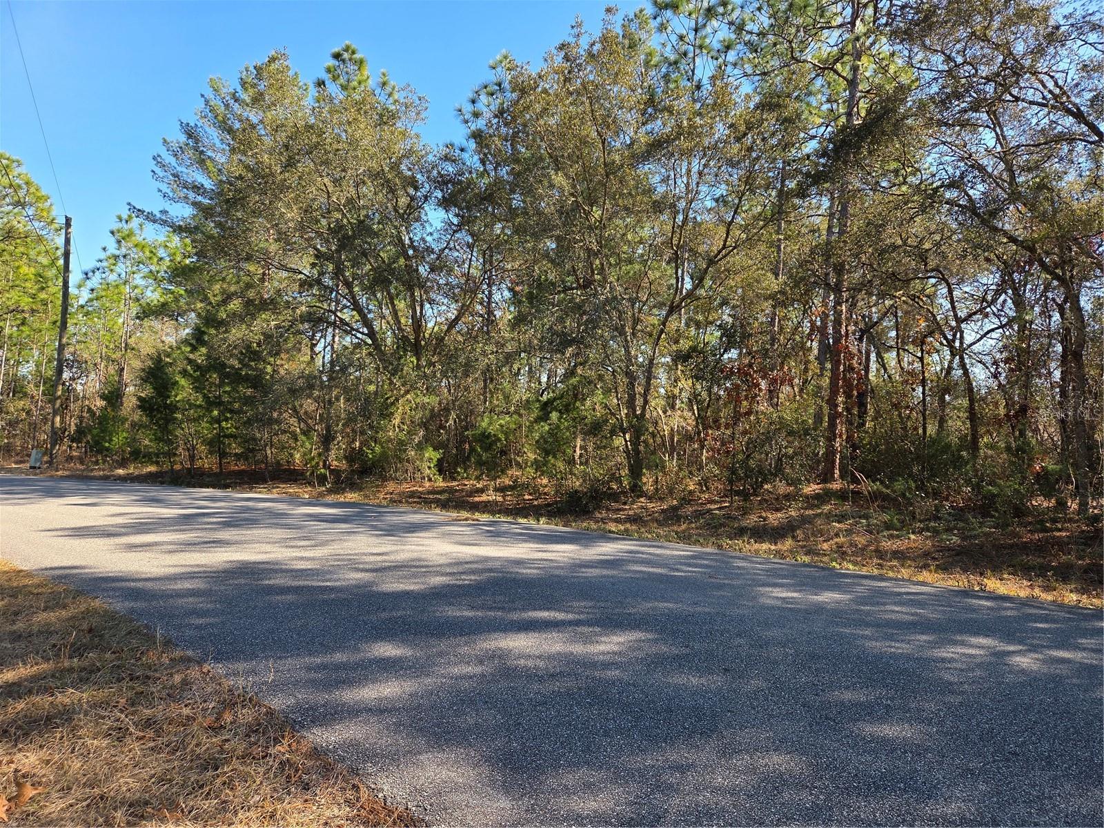 Image 5 of 9 For 3686 Parkview Drive