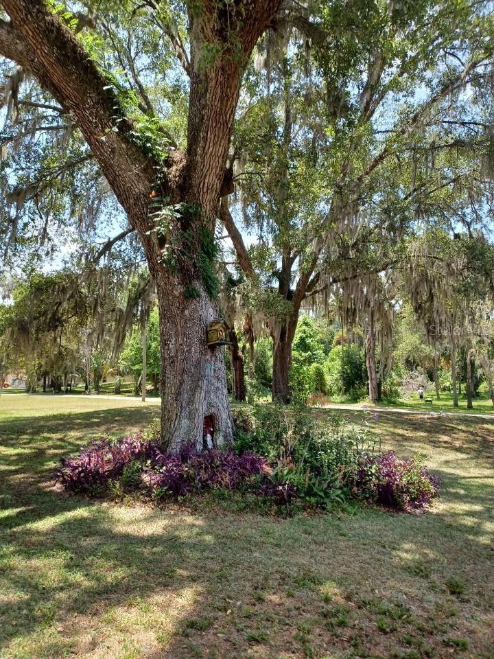 Image 6 of 23 For 9461 Tall Pines Court