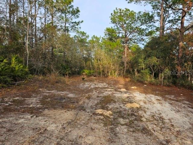 Image 10 of 22 For 6341 Stockholm Lane