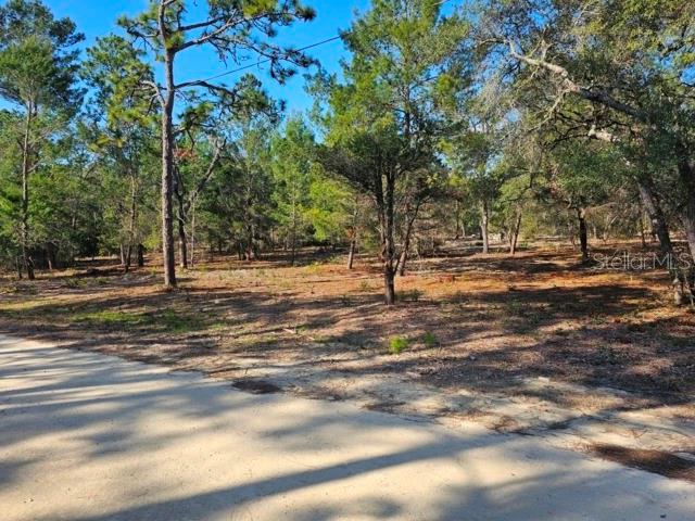 Image 16 of 22 For 6341 Stockholm Lane