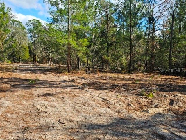 Image 18 of 22 For 6341 Stockholm Lane