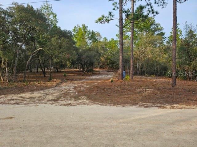 Image 2 of 22 For 6341 Stockholm Lane