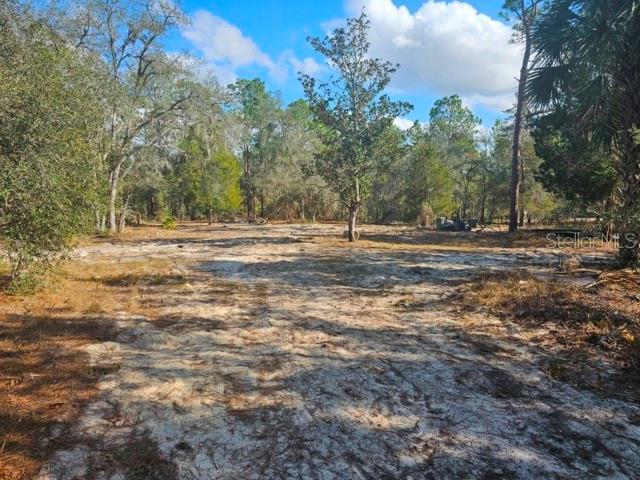 Image 21 of 22 For 6341 Stockholm Lane