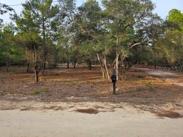 Image 3 of 22 For 6341 Stockholm Lane