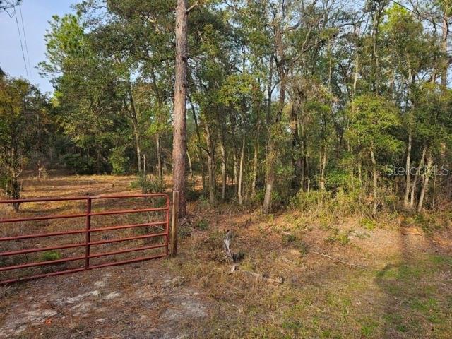 Image 4 of 22 For 6341 Stockholm Lane