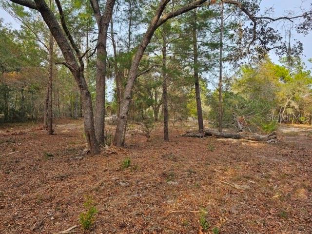 Image 6 of 22 For 6341 Stockholm Lane