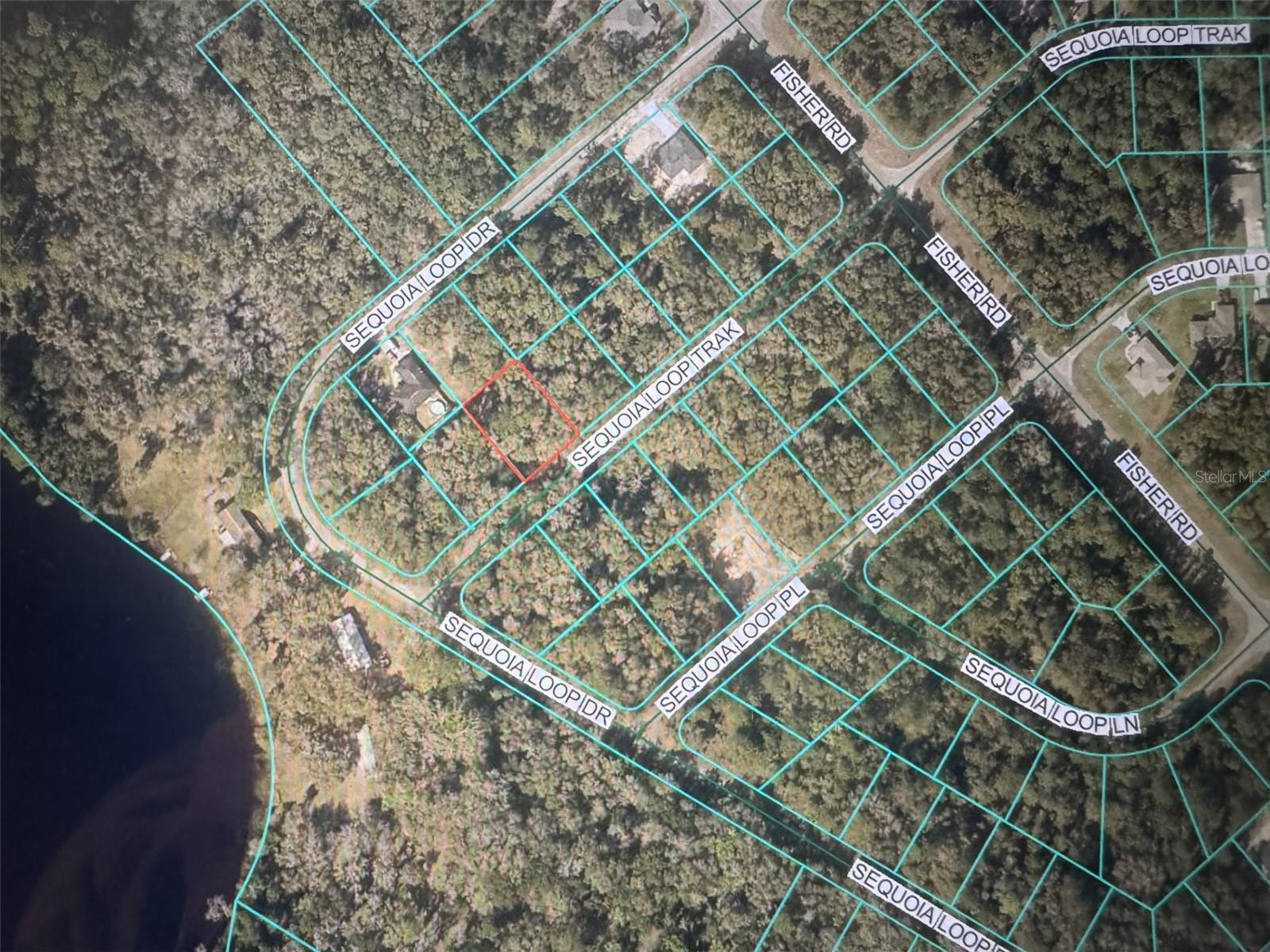 Image 2 of 7 For Sequoia Loop Track