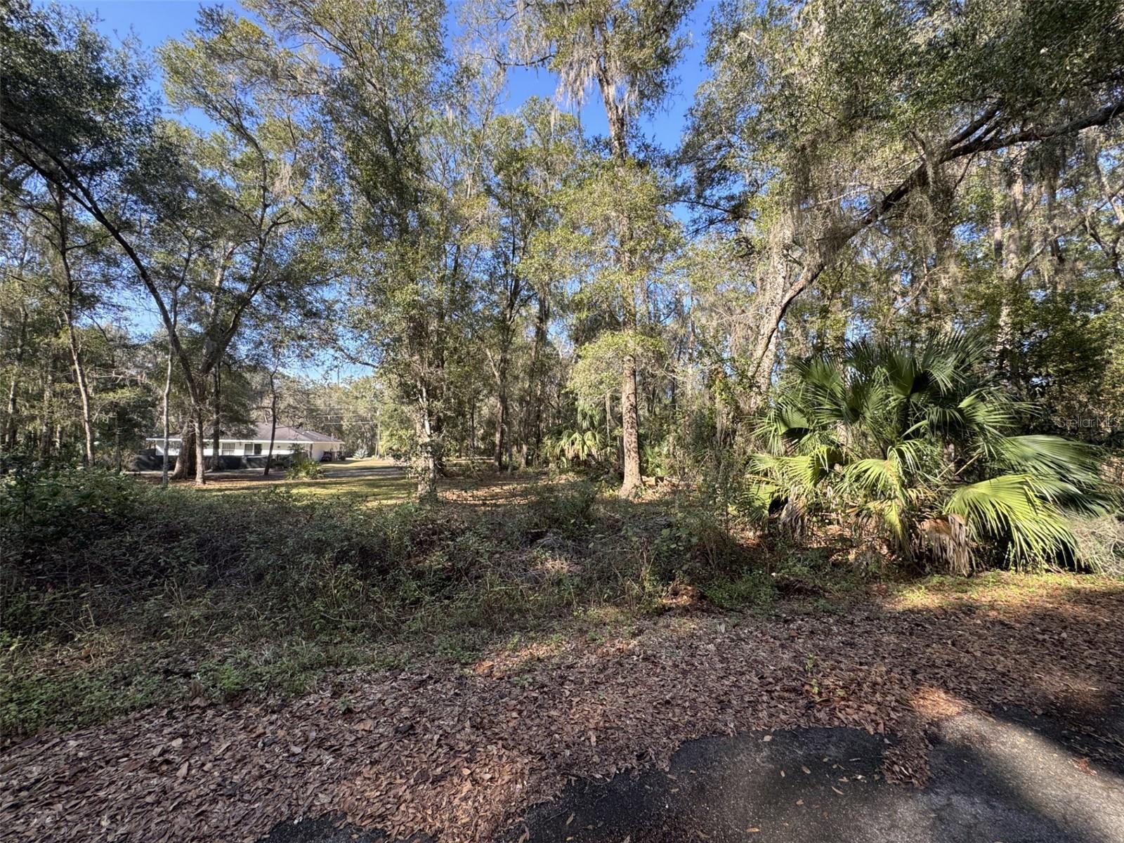 Image 4 of 7 For Sequoia Loop Track