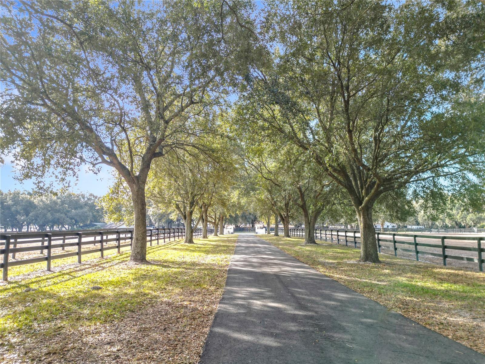 Image 17 of 44 For 21051 42nd Street