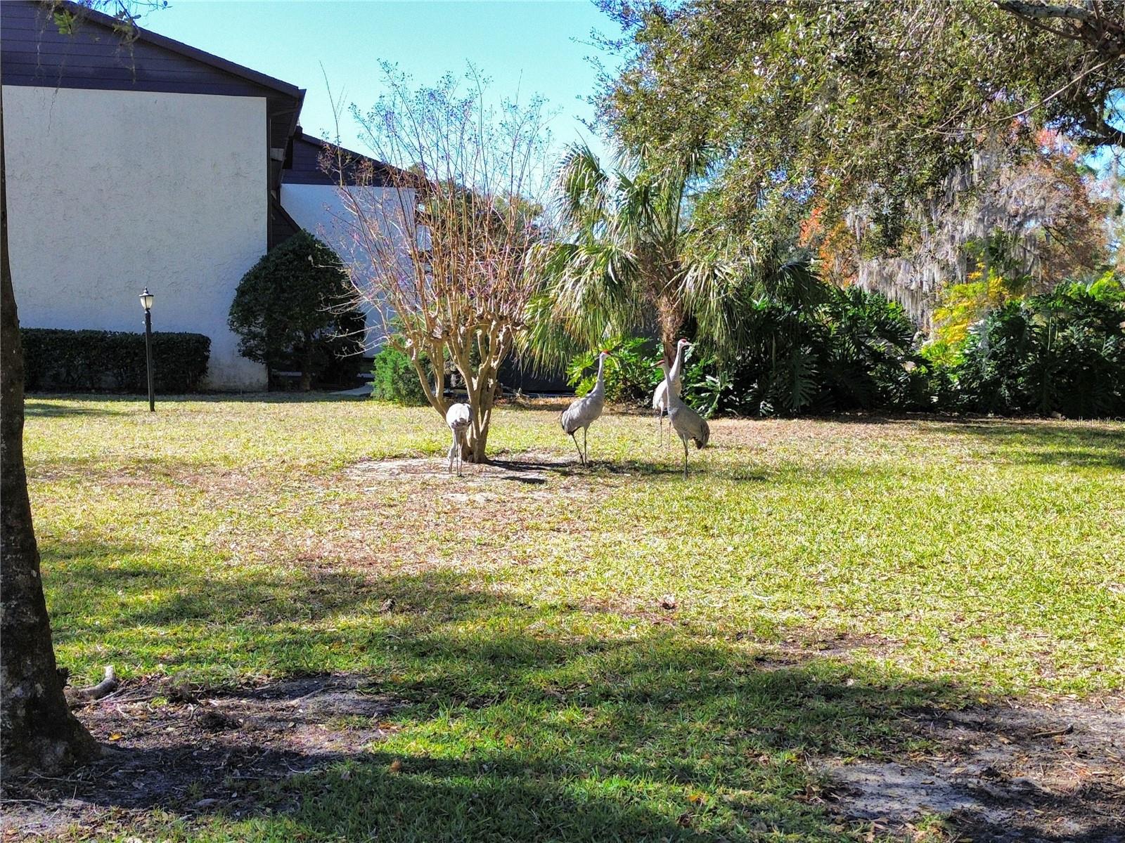 Image 25 of 30 For 512 Fairways Circle A