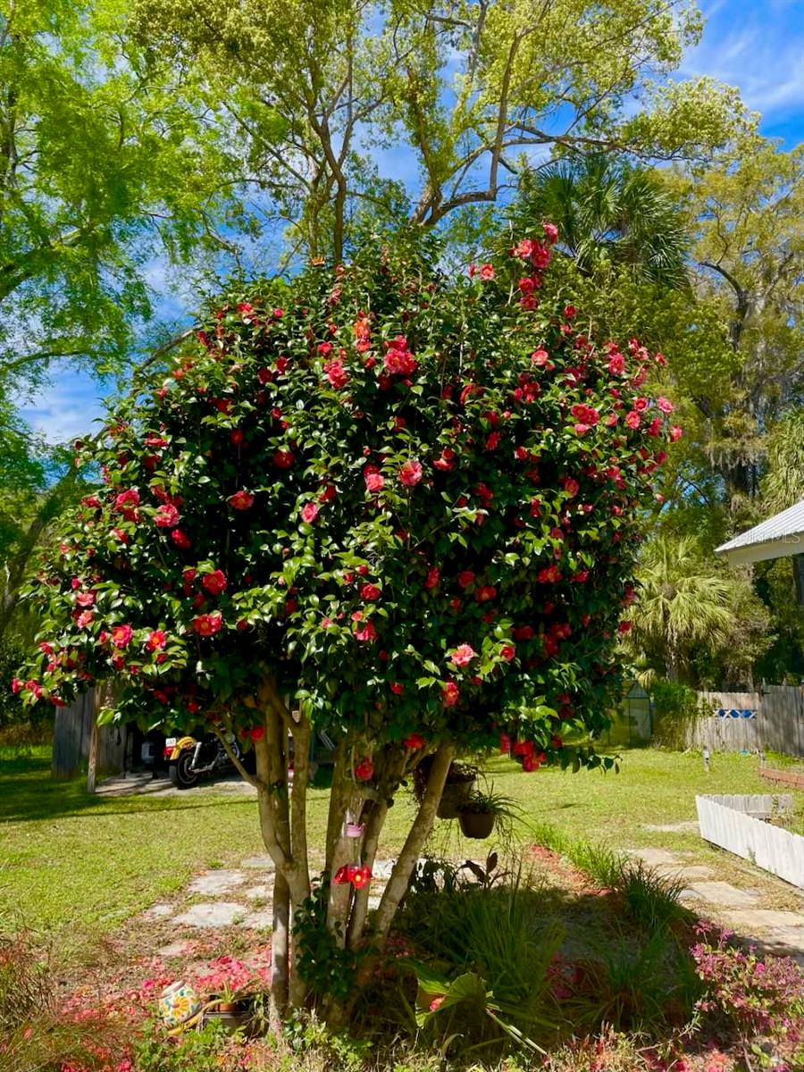 Image 34 of 36 For 18708 242nd Street