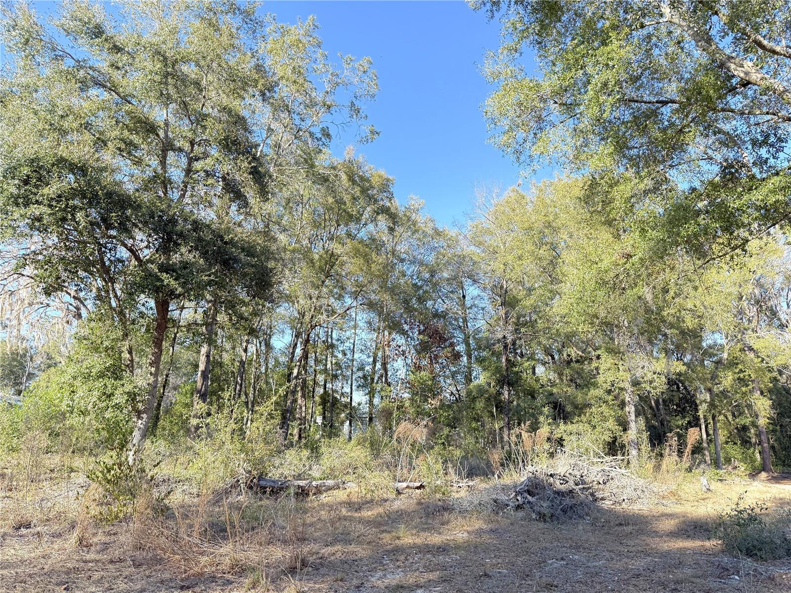 Image 4 of 6 For 15331 3rd Lane