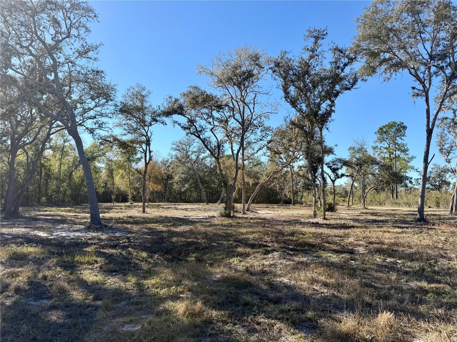 Image 12 of 18 For Tbd 220 Street