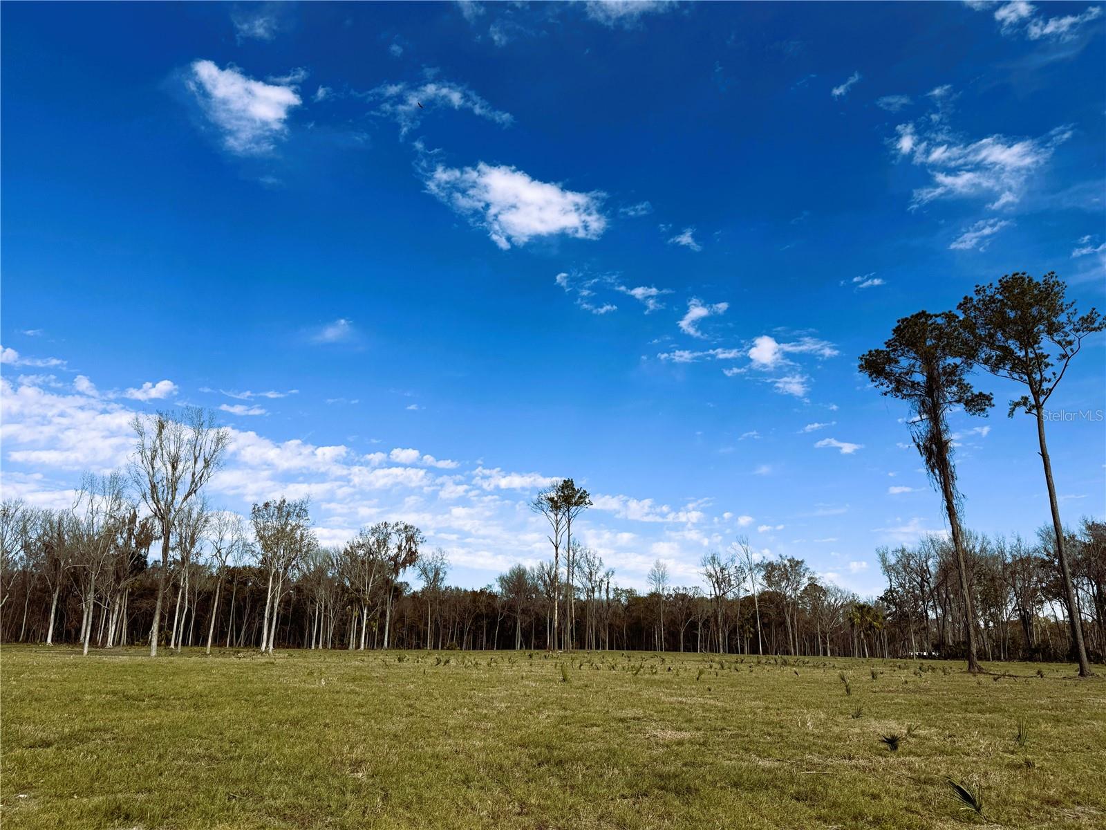 Image 10 of 10 For Dr #3 (10ac) 193rd St