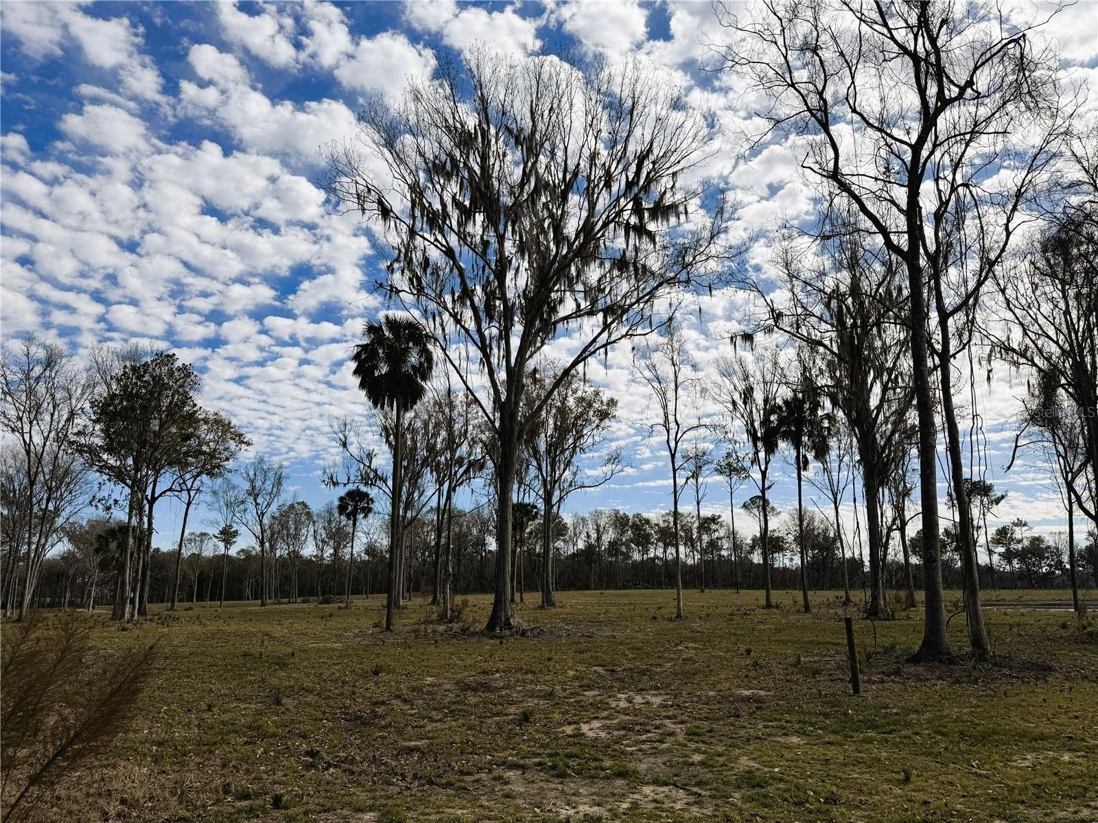 Image 9 of 10 For Dr #3 (10ac) 193rd St