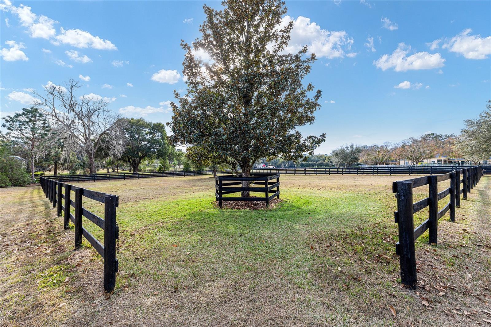 Image 61 of 65 For 2150 73 Loop