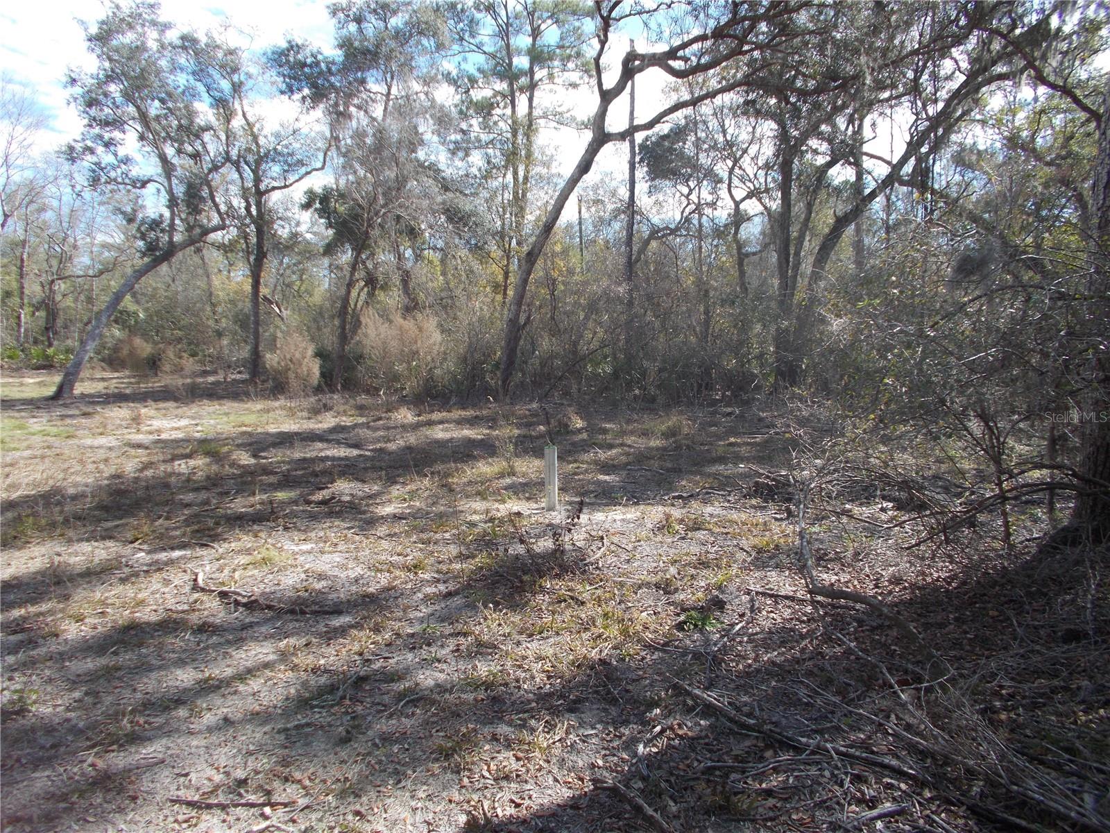 Image 10 of 46 For 0000 836th Street