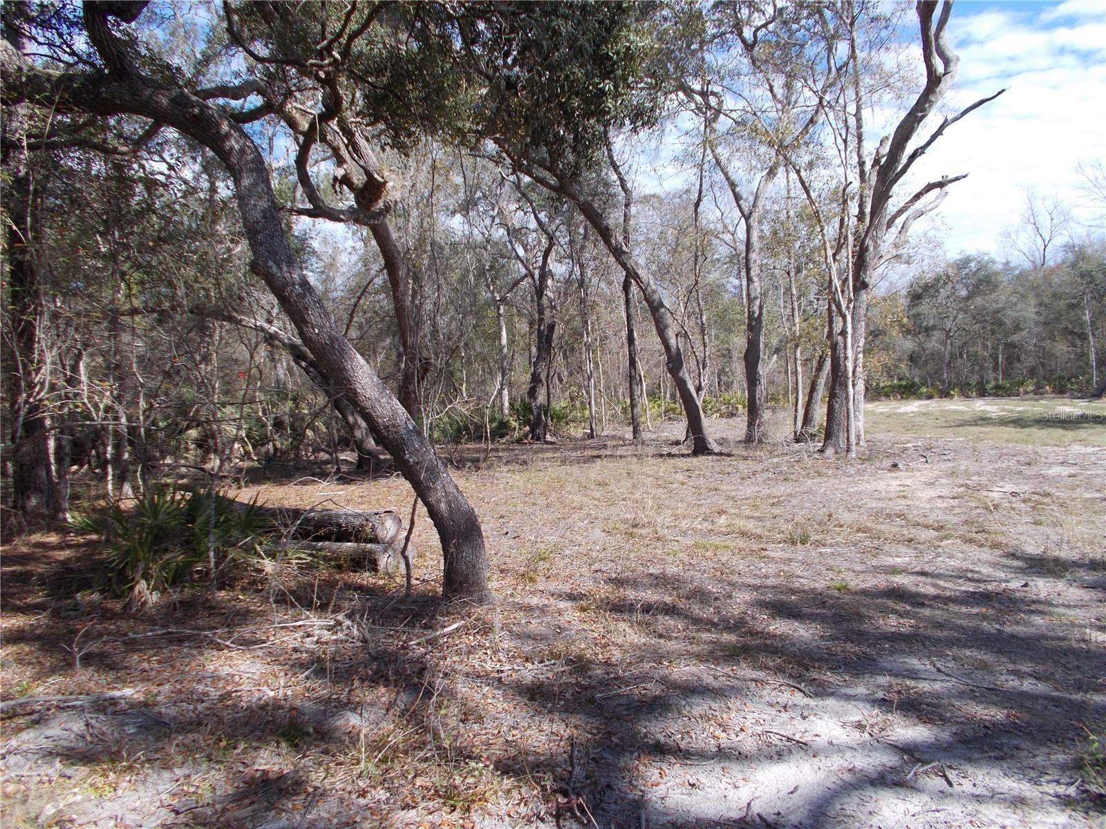 Image 11 of 46 For 0000 836th Street