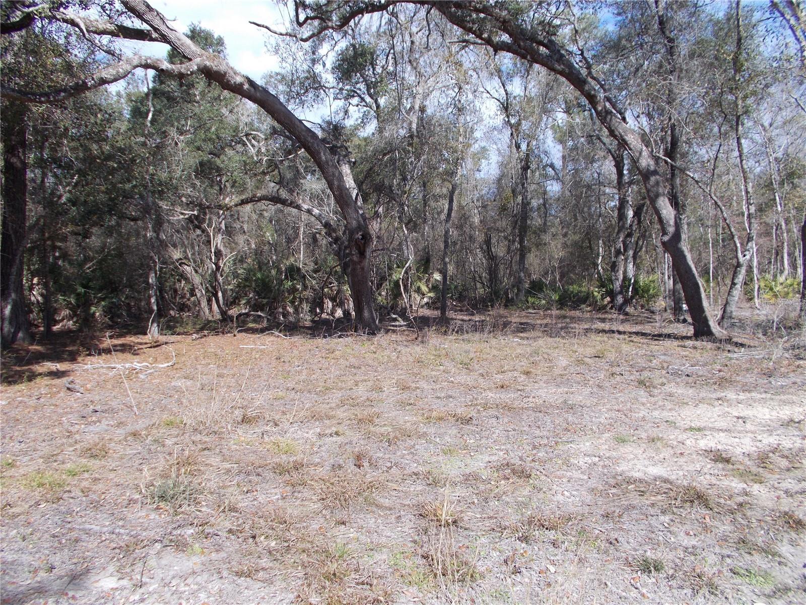 Image 27 of 46 For 0000 836th Street