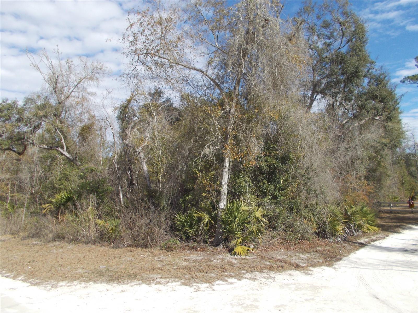 Image 37 of 46 For 0000 836th Street