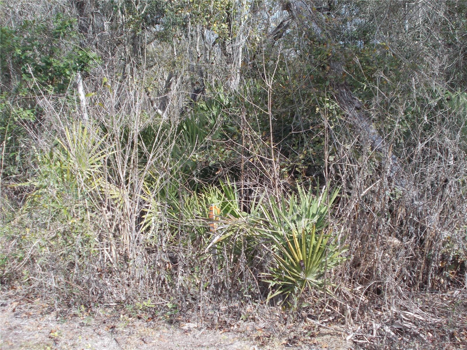 Image 39 of 46 For 0000 836th Street