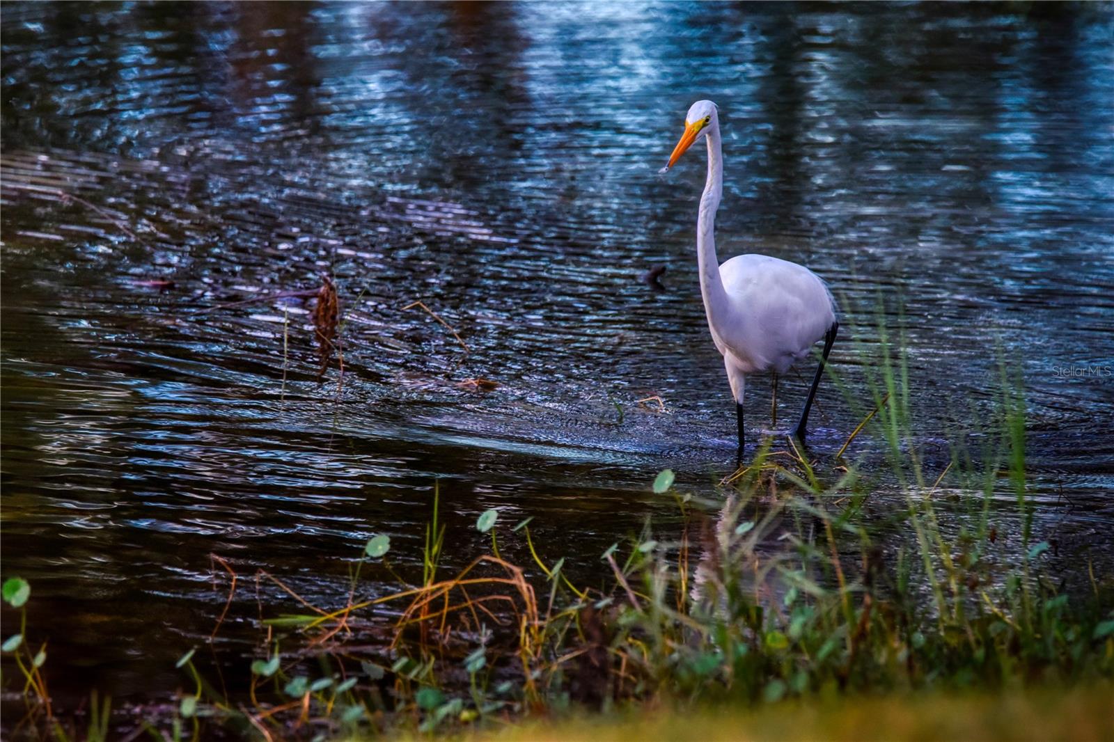 Image 30 of 39 For 625 Midway Drive A