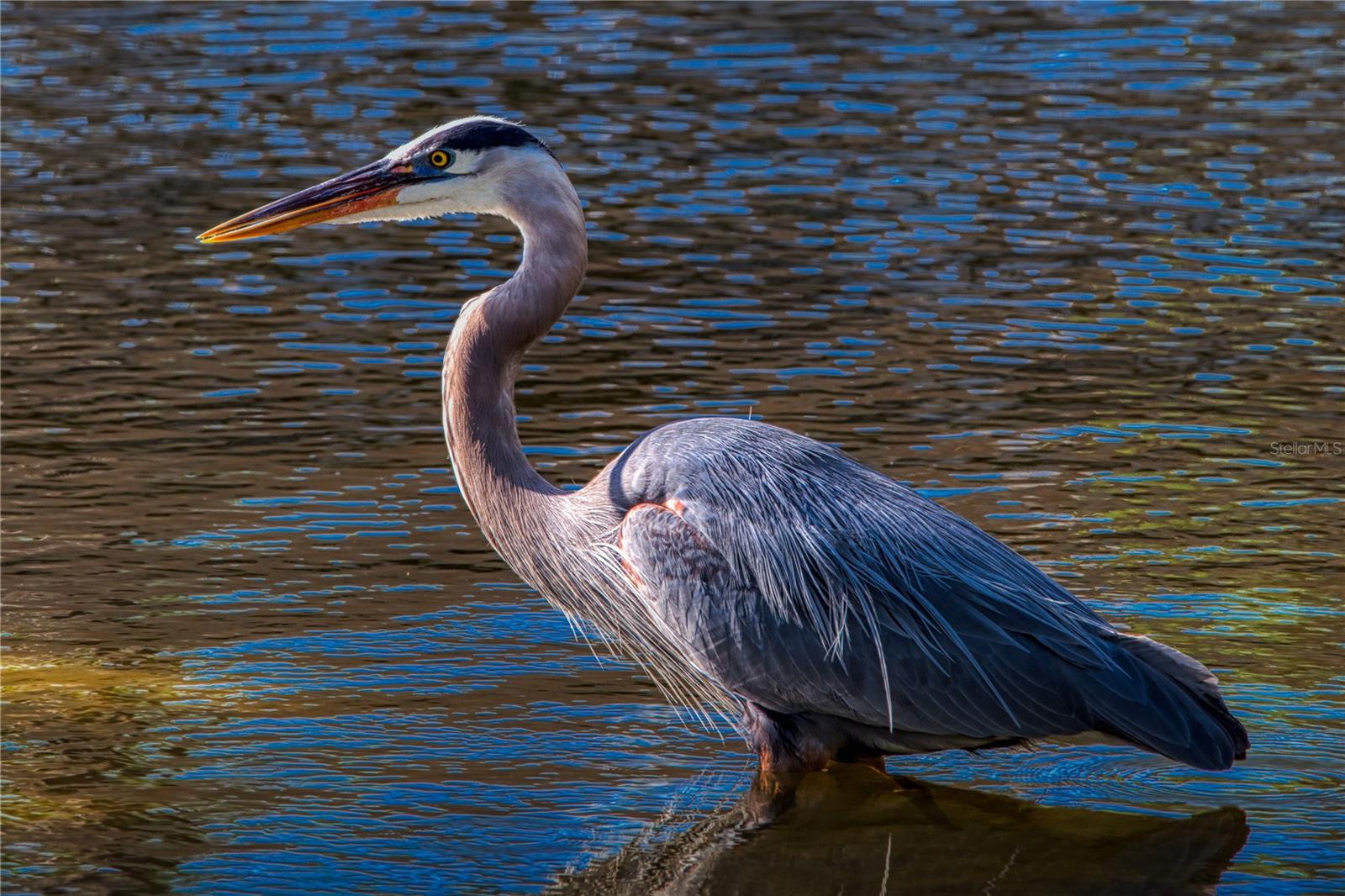 Image 33 of 39 For 625 Midway Drive A