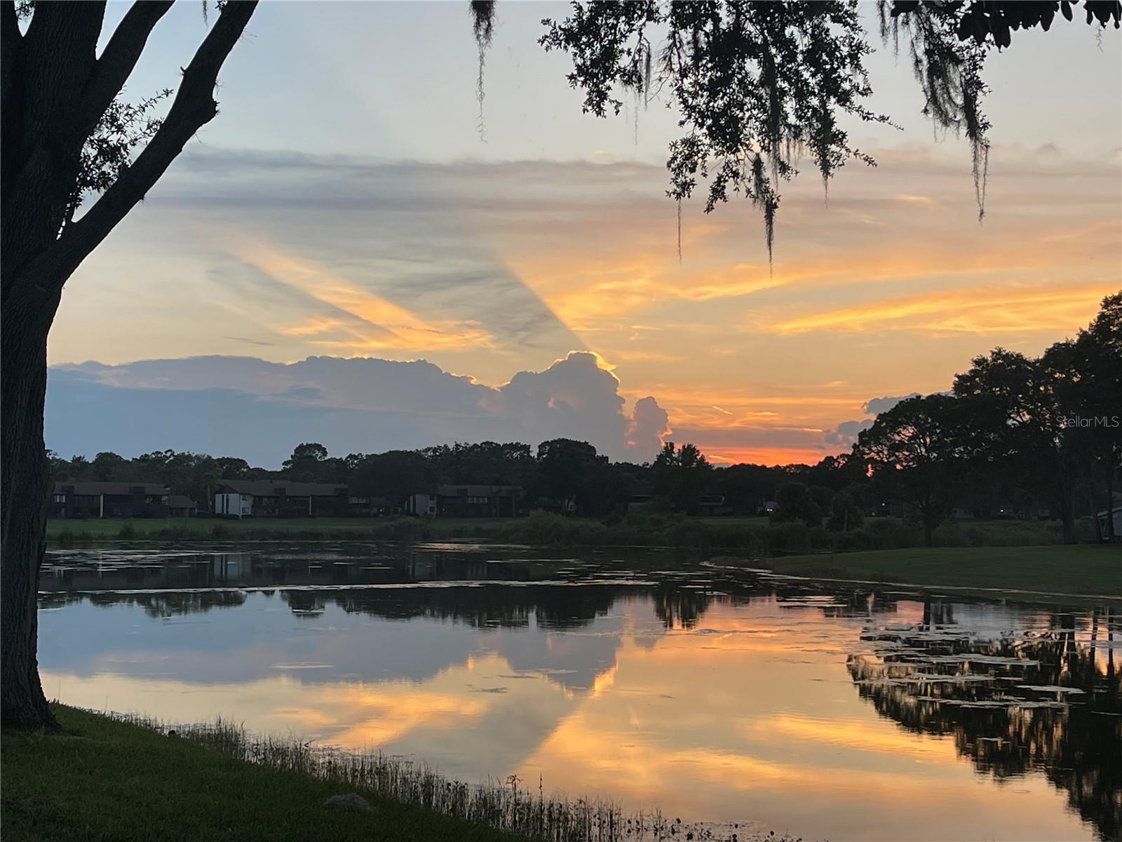 Image 34 of 39 For 625 Midway Drive A