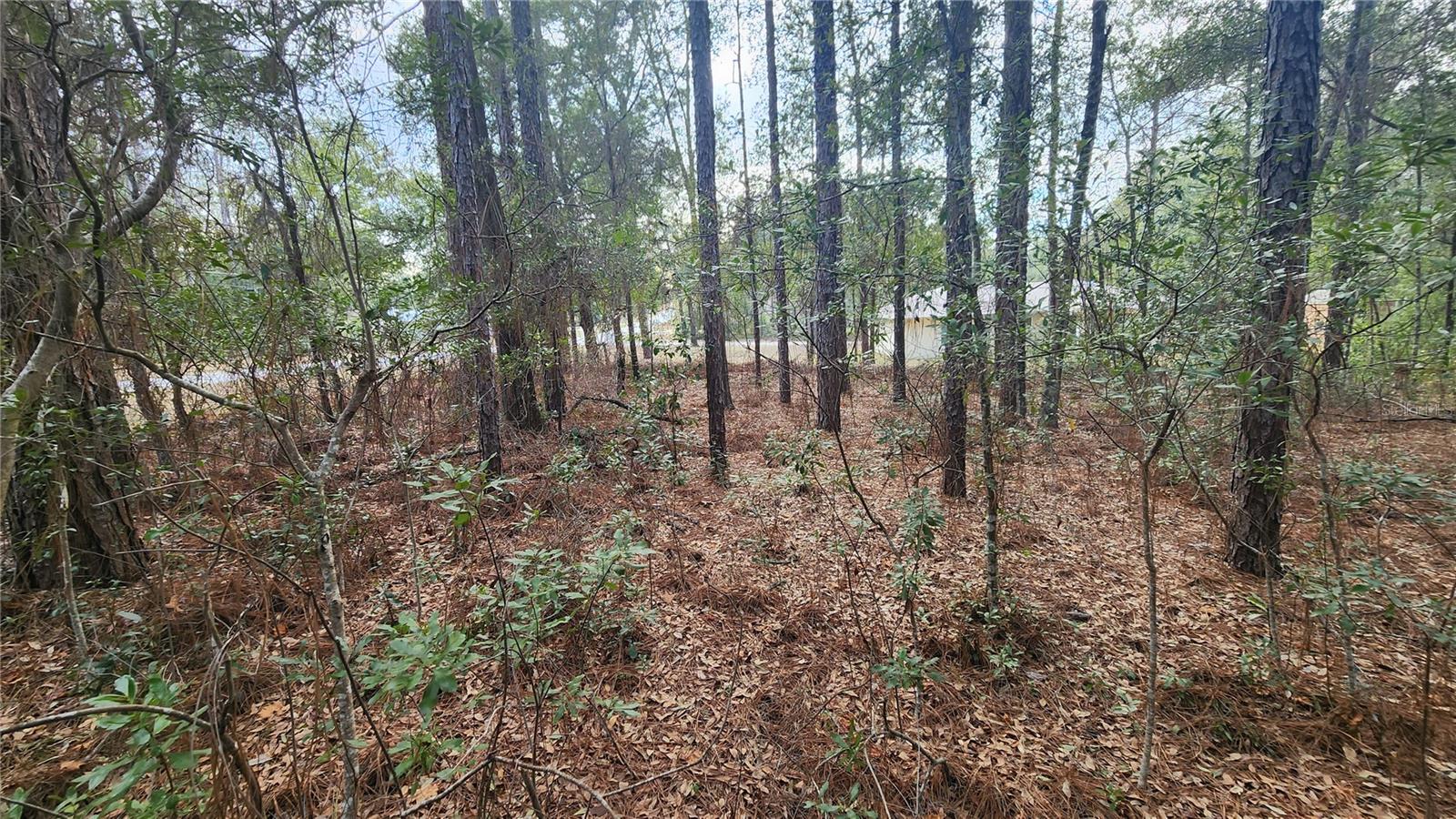 Image 11 of 23 For 7954 Golfview Drive