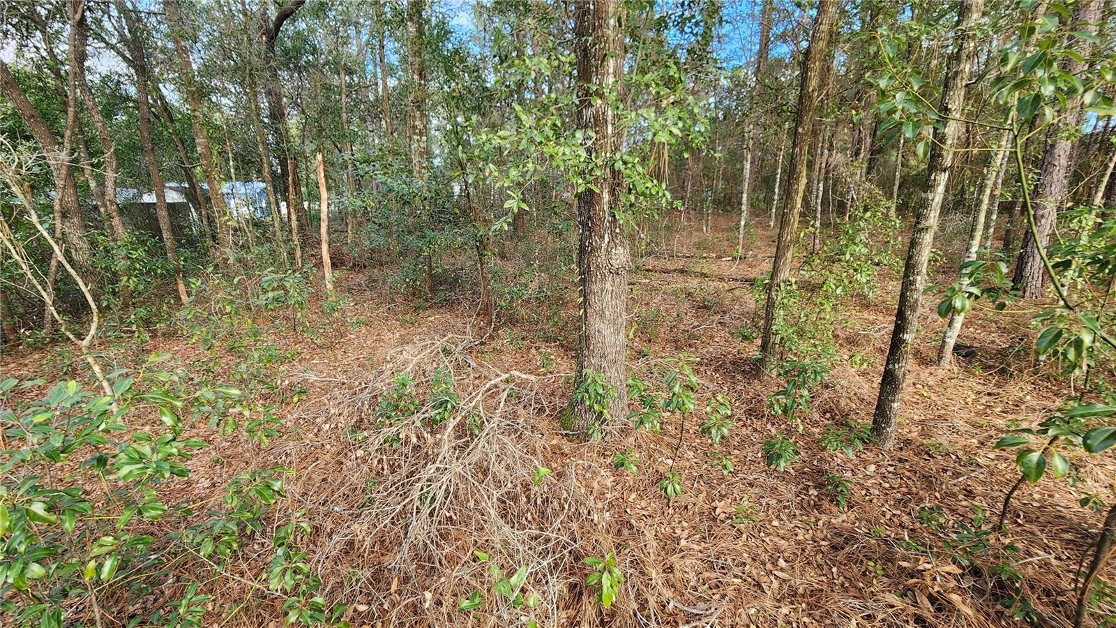 Image 7 of 23 For 7954 Golfview Drive